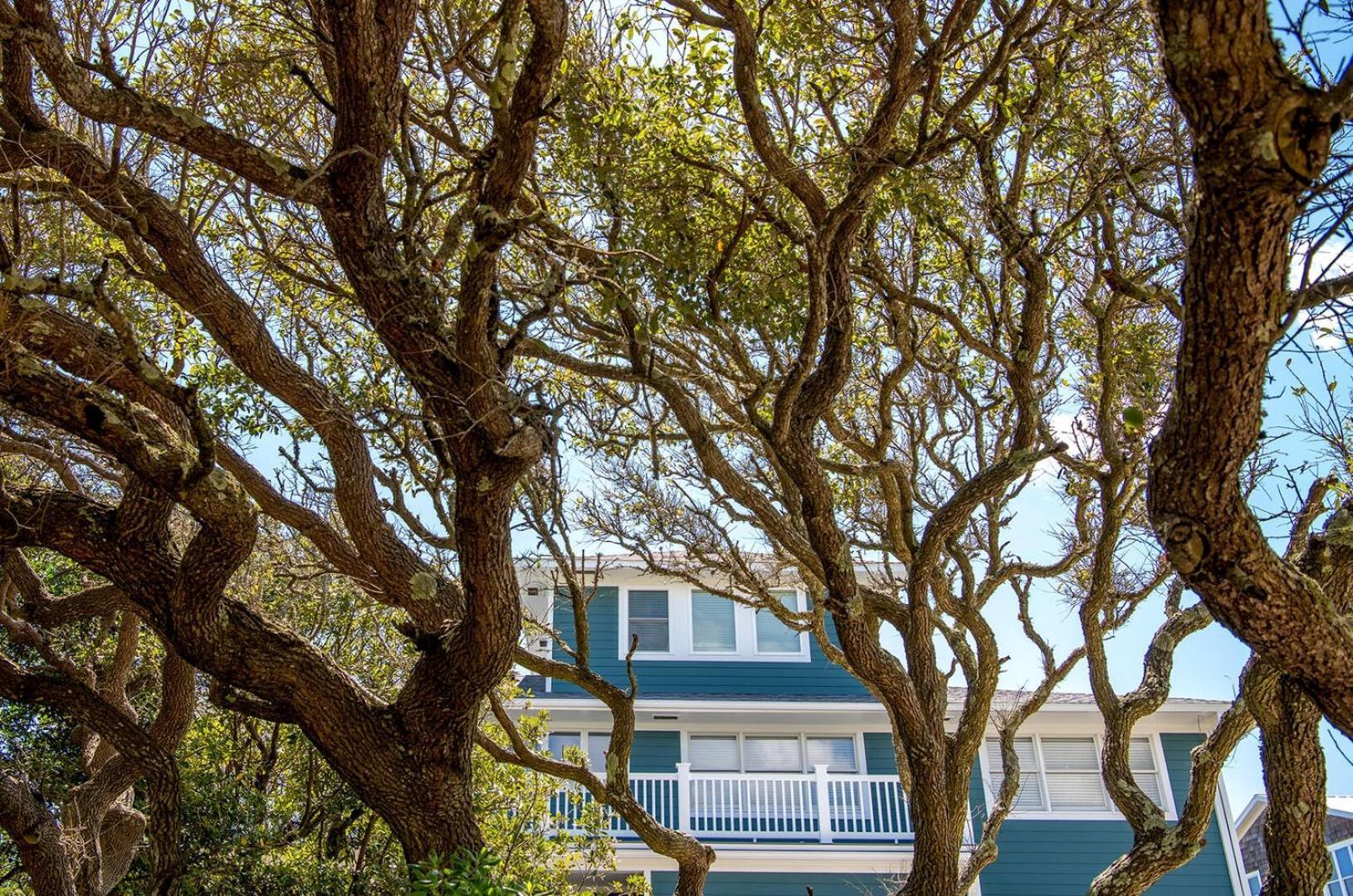 Duneside Home Pine Knoll Shores Exterior foto
